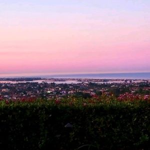 Meet your Posher, Rania